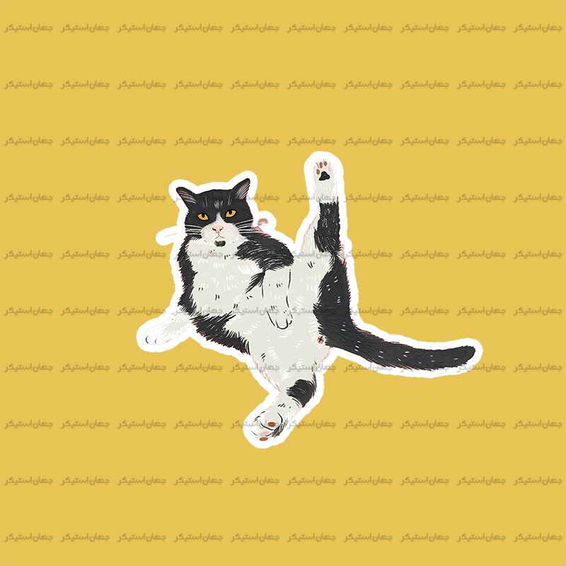 استیکر گربه - cat79